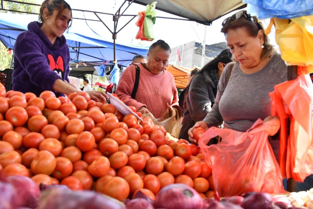 Aumento del precio del tomate afecta economía en Atacama
