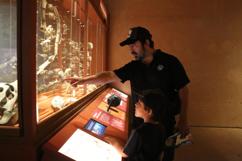El Museo Regional anuncia extensión de horario de atención los sábados