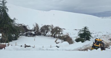 APECO destaca menor impacto agrícola en el Valle de Copiapó y plantea desafíos en infraestructura tras sistema frontal