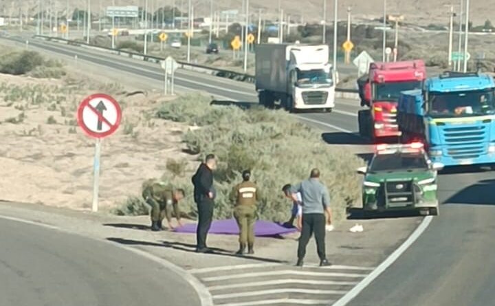 Copiapó: Fiscalía ordena diligencias  por muerte de persona en la ruta 5 norte