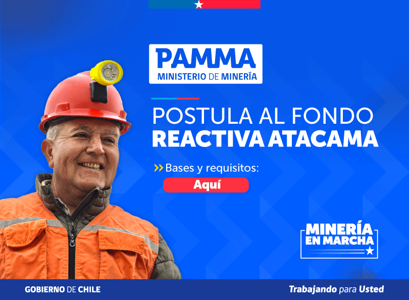 Postula reactiva Atacama