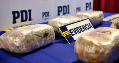 PDI Atacama desarticuló estructura criminal incautando más de 5 kilos de cannabis *Además se registraron 4 detenidos.